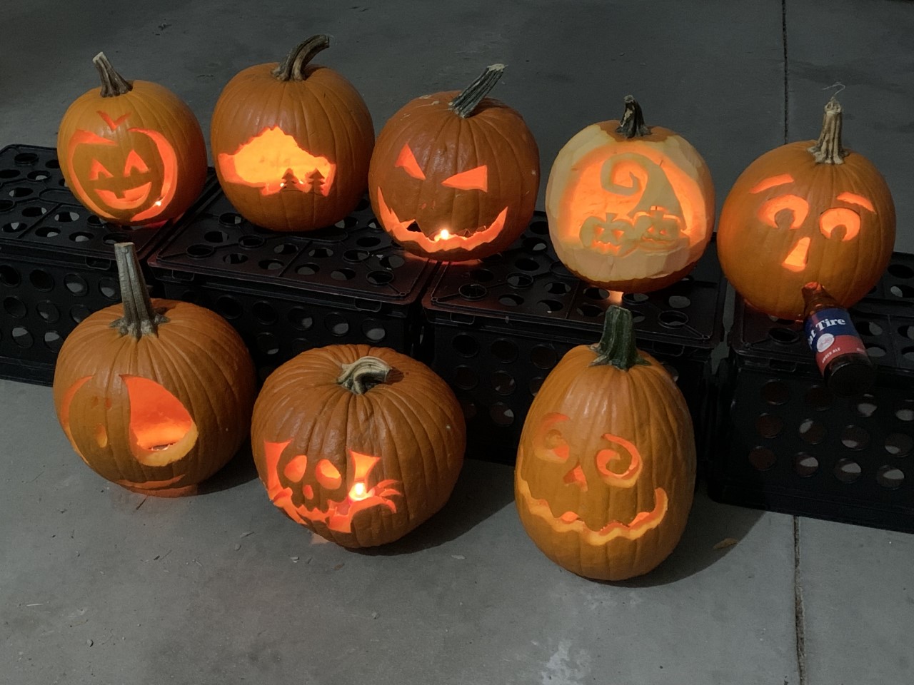 All of the carved pumpkins in the daylight