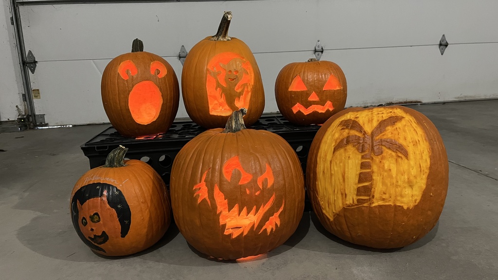 Pumpkins (2024) in light