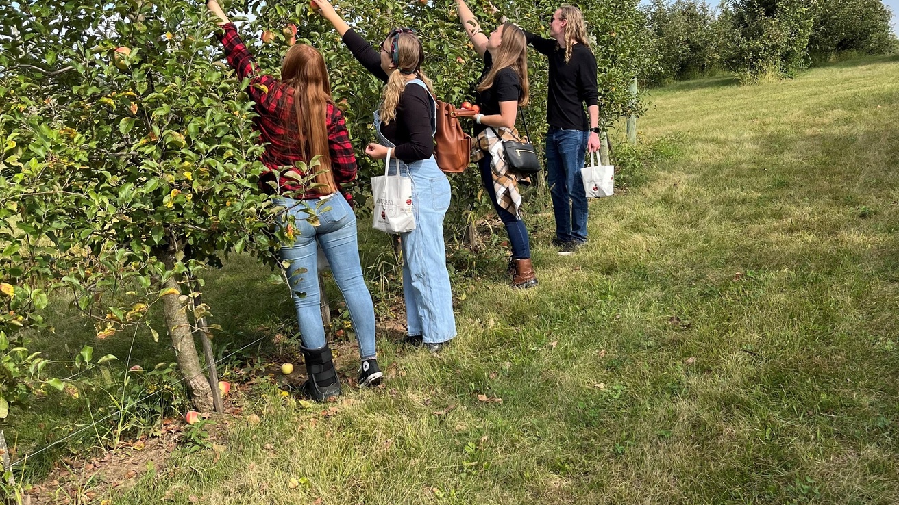 Whole group picks apples